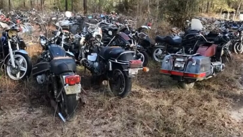 Più di 4'000 moto abbandonate in un bosco: come sono arrivate lì? (Presenti anche alcuni modelli rari)