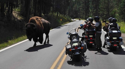 Stati Uniti, tra Route66 e Grand Canyon: foto