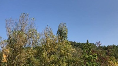 Husqvarna TE250 vs FE350, 2 tempi e una4 tempi da enduro a confronto.