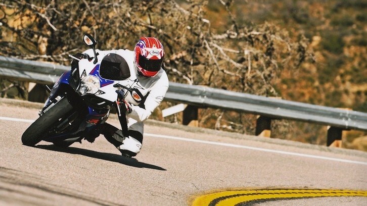 Cervo in autostrada: motociclista all’ospedale
