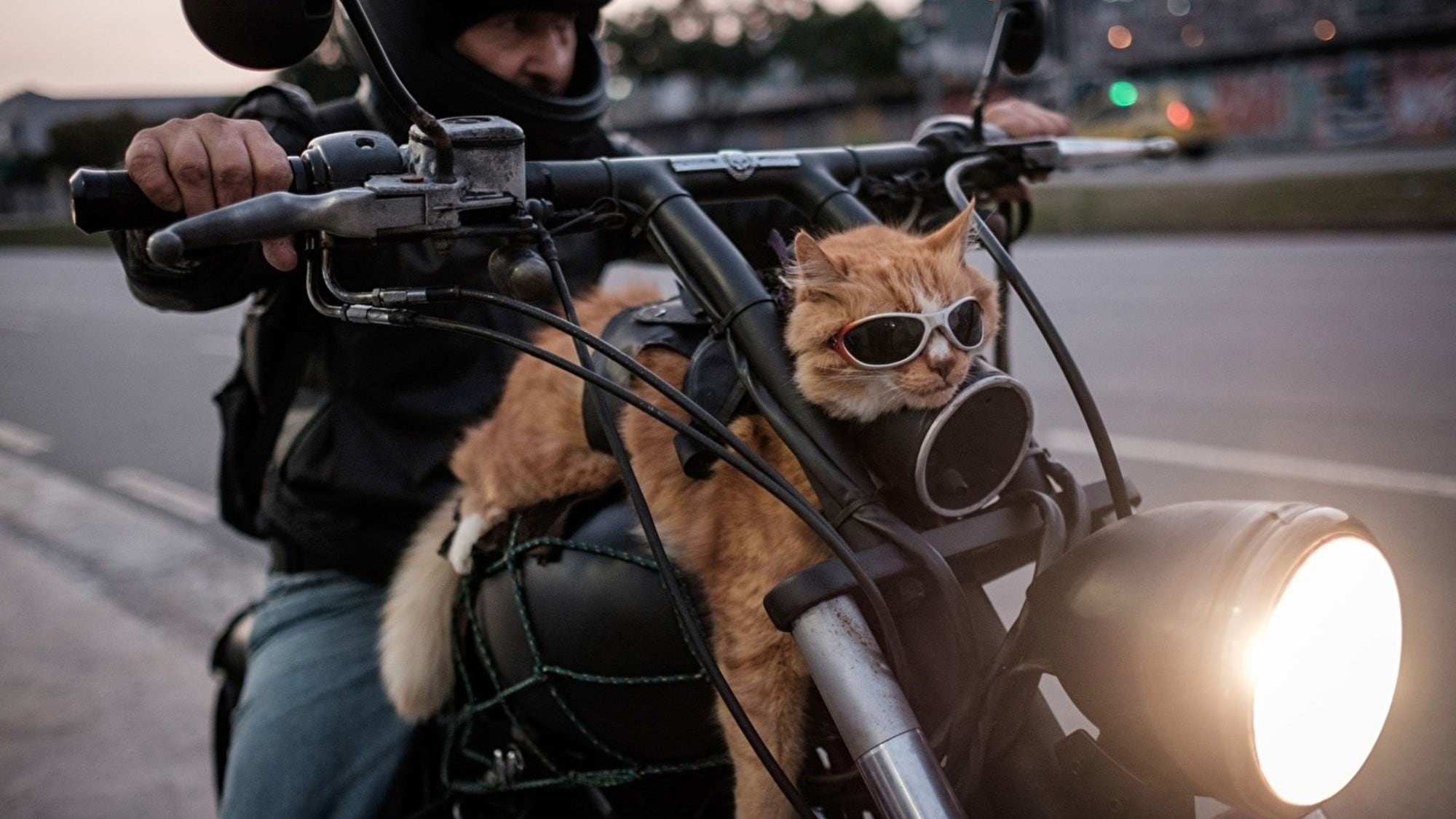 Andare in moto, aspettative Vs realtà: i meme raccontano