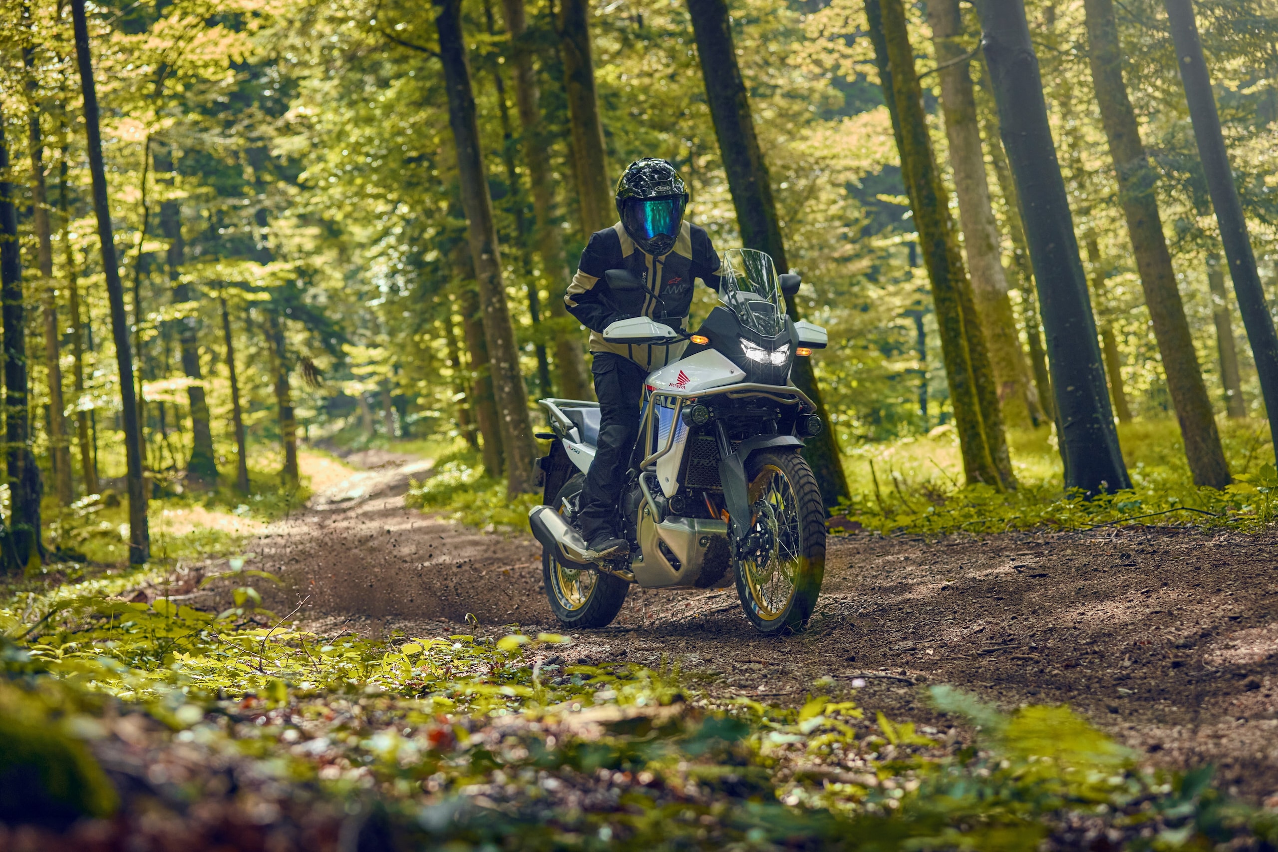 | HONDA XL 750 TRANSALP - 393 unità vendute. Dopo giugno, la Transalp è la regina anche di luglio 2025! L'Adventure si conferma uno dei modelli che, con la sua ricetta, ha fatto e fa innamorare migliaia, se non milioni, di motociclisti. Nel 2025, con la normativa Euro5+, Honda ha colto l’occasione per portare qualche aggiornamento. Il design è una delle aree oggetto di aggiornamento, e il risultato è decisamente riuscito. La Transalp è sempre stata una moto confortevole, adatta anche ai lunghi viaggi, e questa nuova versione non fa eccezione. È venduta ad un prezzo di 10.690 euro