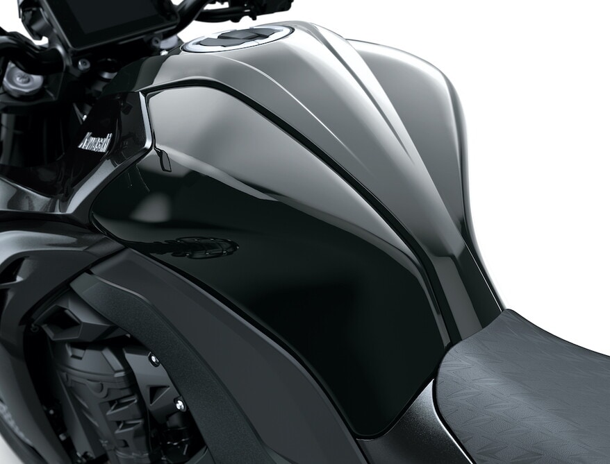 Kawasaki Z1100 e Z1100 SE: LE FOTO