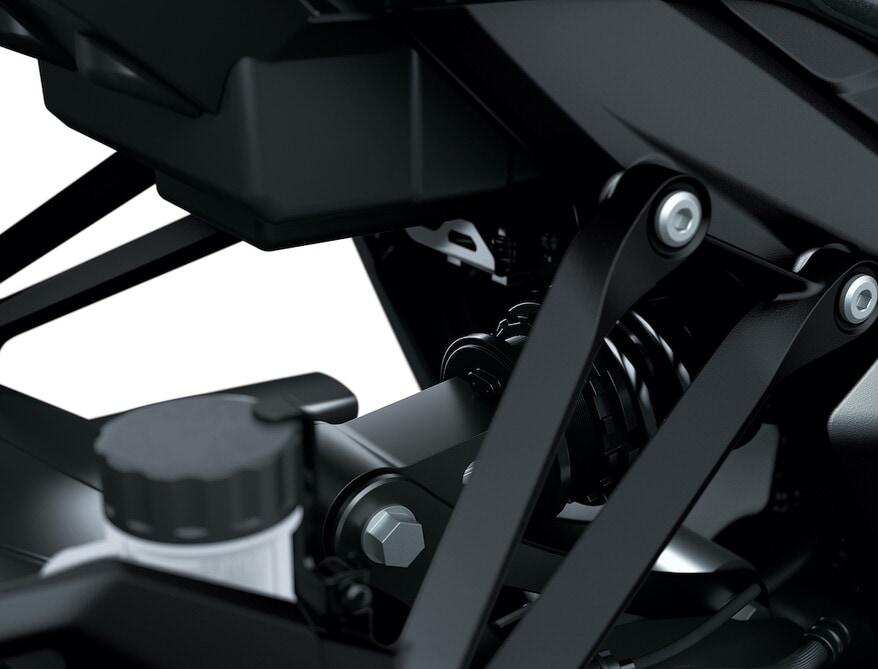 Kawasaki Z1100 e Z1100 SE: LE FOTO