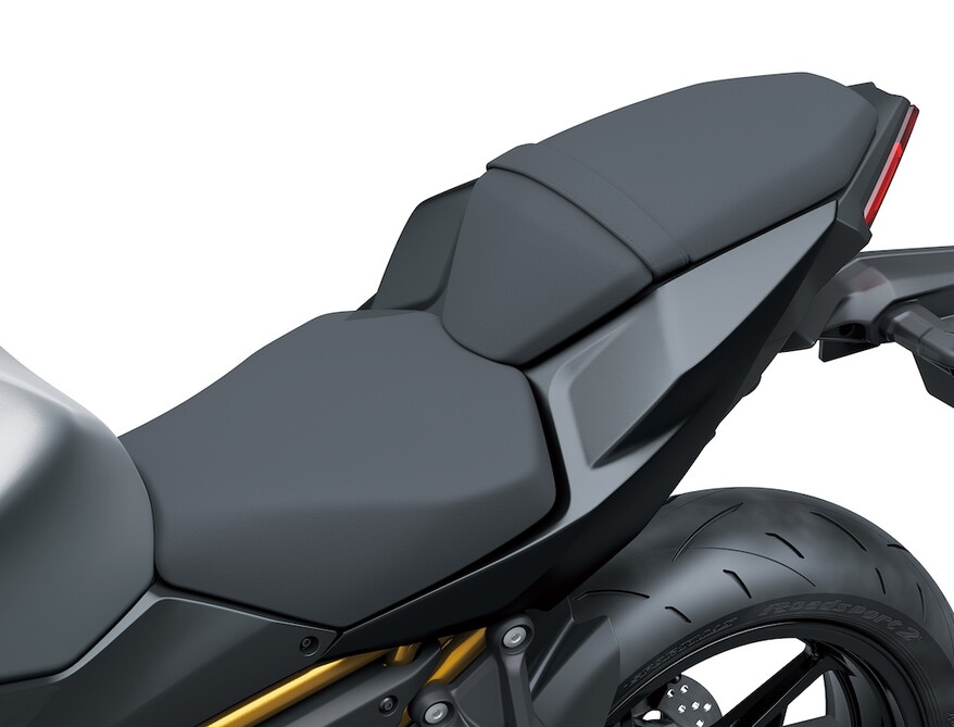 Kawasaki Z650 S: le foto della naked dal design Sugomi
