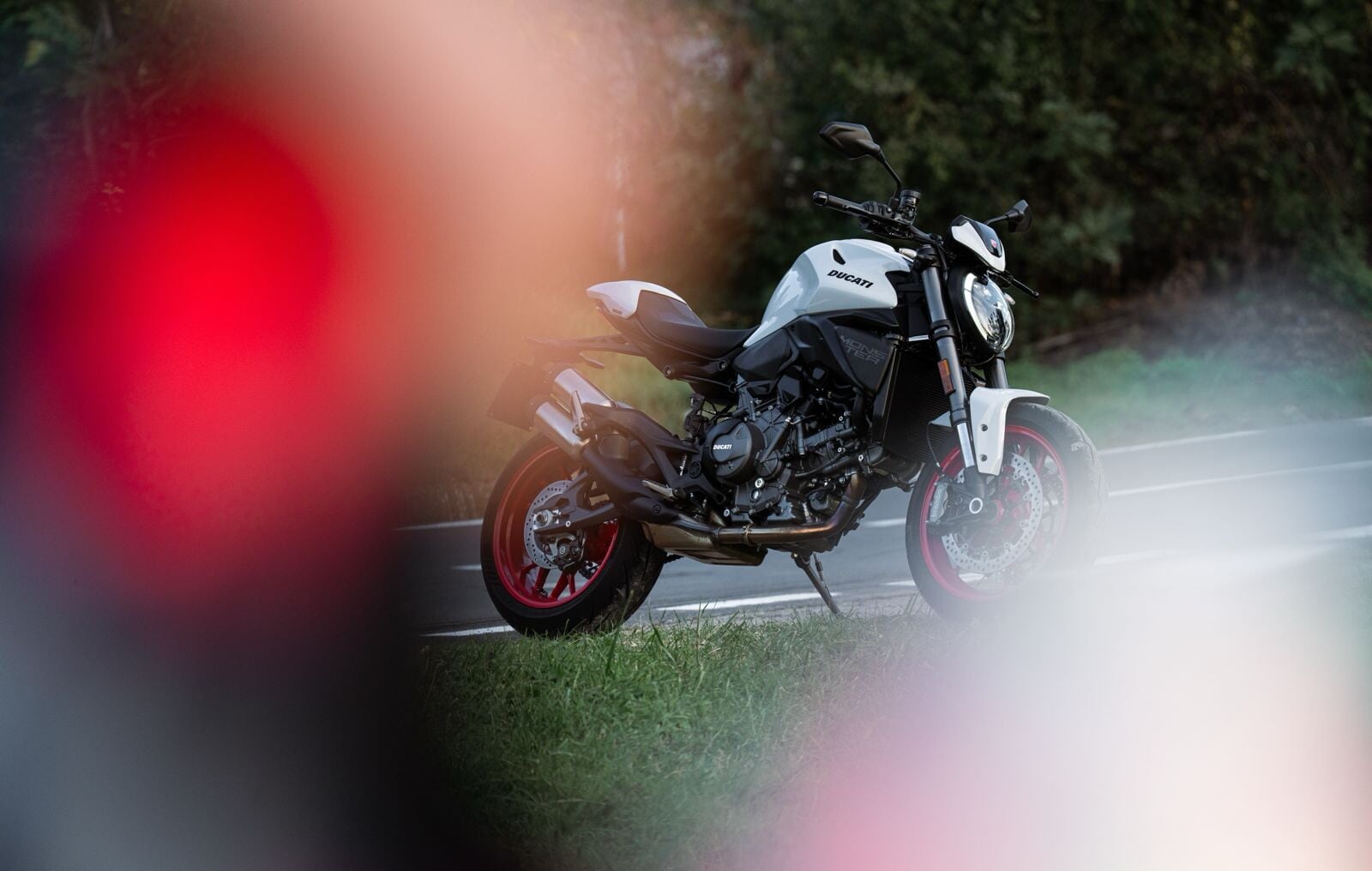 Ducati Monster 2026: le foto