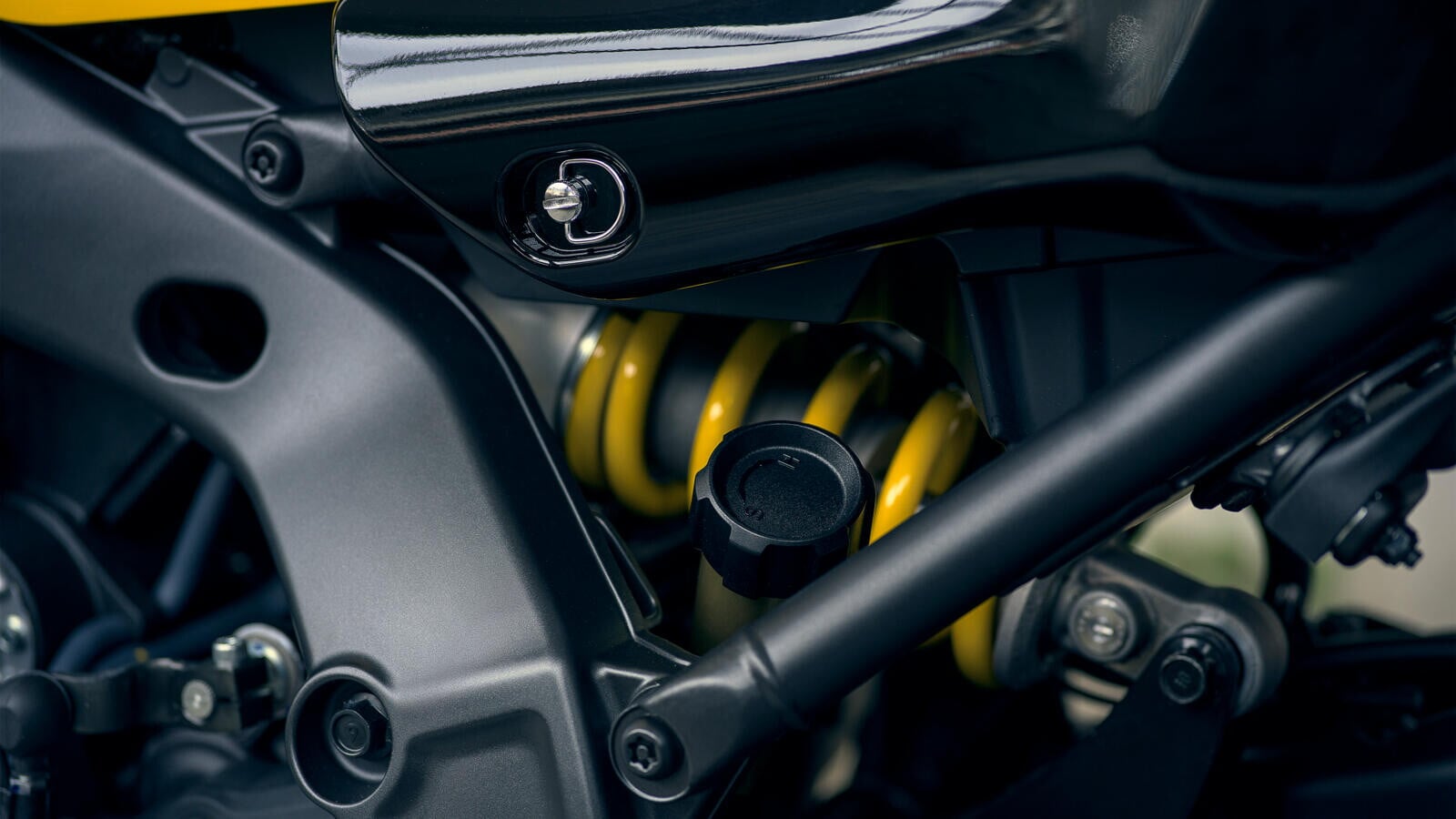 Yamaha XSR900 GP 2026: le foto