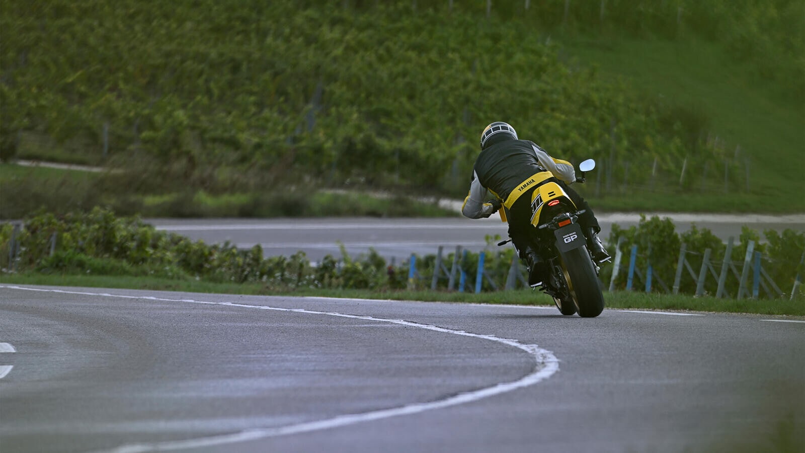 Yamaha XSR900 GP 2026: le foto