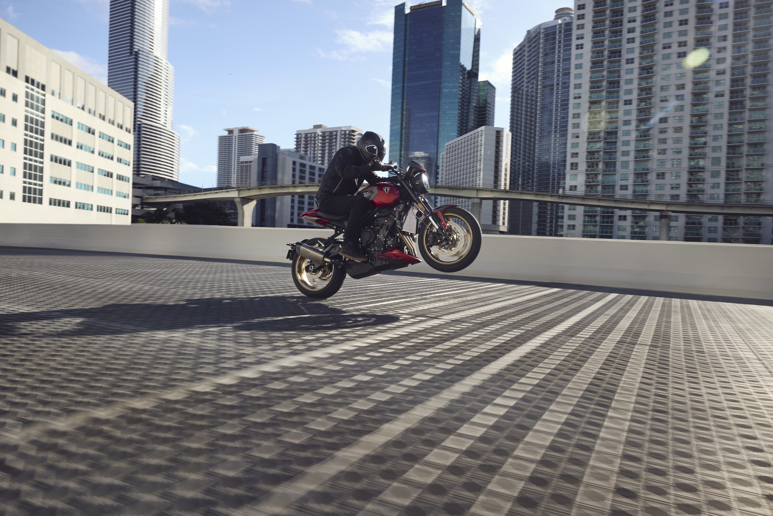 Triumph Trident 800 2026: le foto