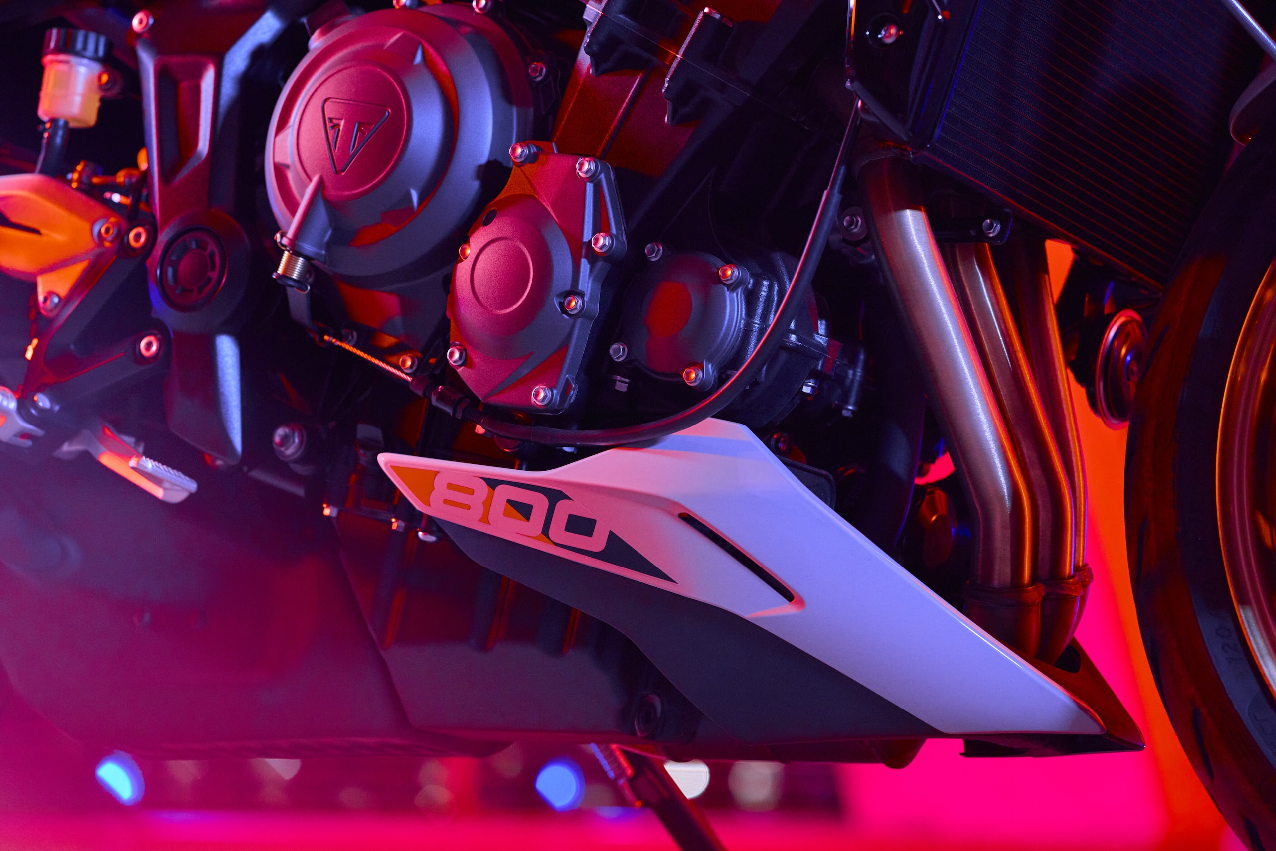 Triumph Trident 800 2026: le foto