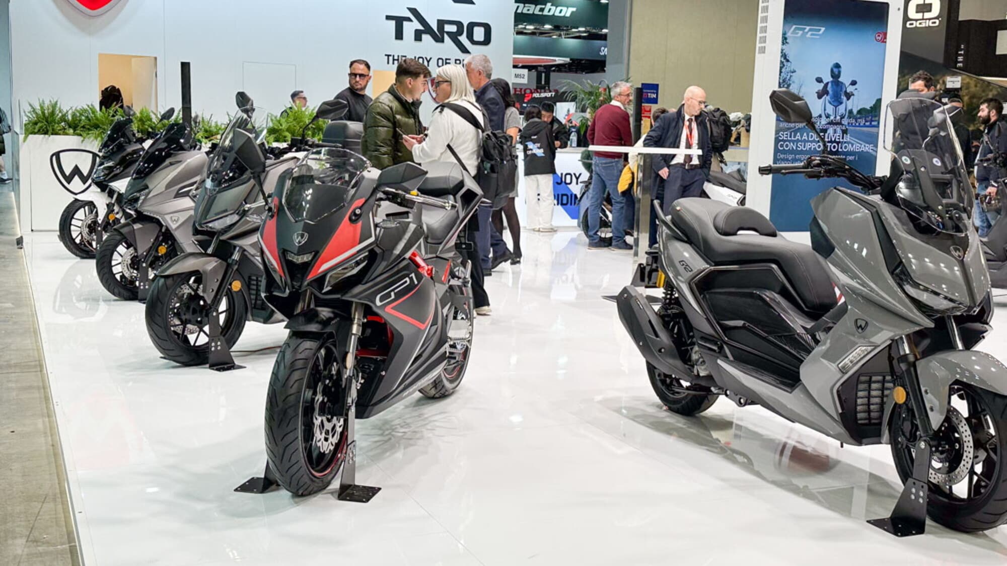 Dalla Spagna con stile (italiano): Wottan accelera verso la maturità