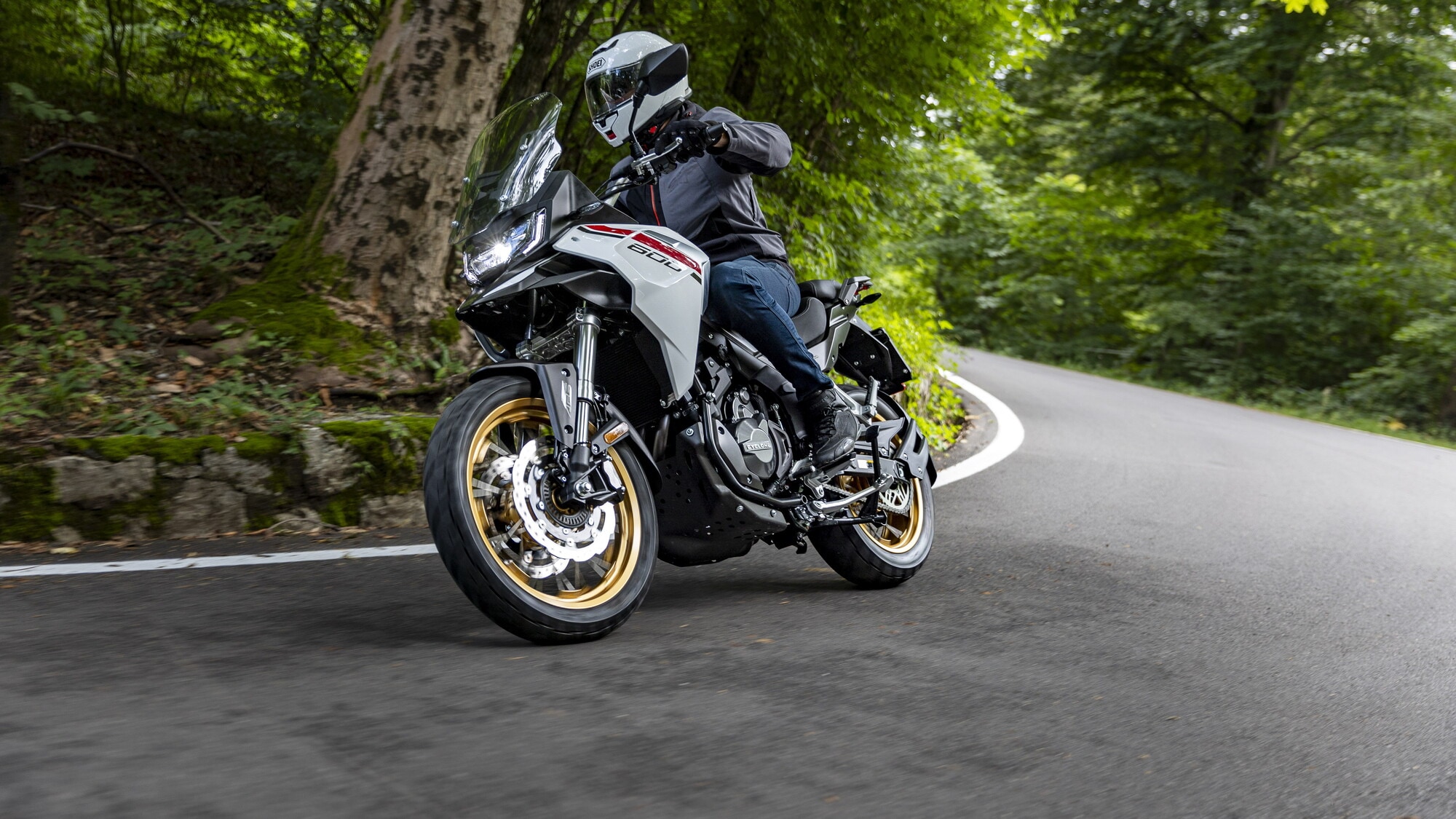 Cyclone RX600: per chi è (e per chi non è)