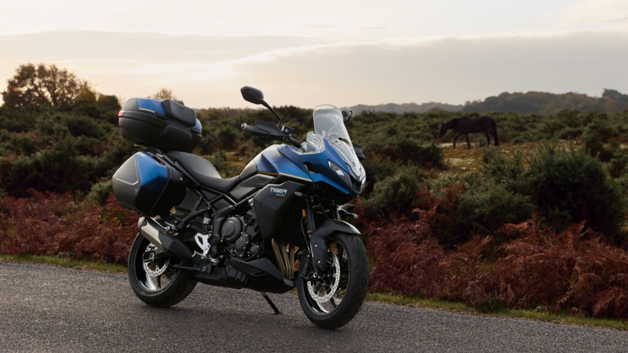 Triumph Tiger Sport 800 Tour: più turismo, stesso spirito sportivo