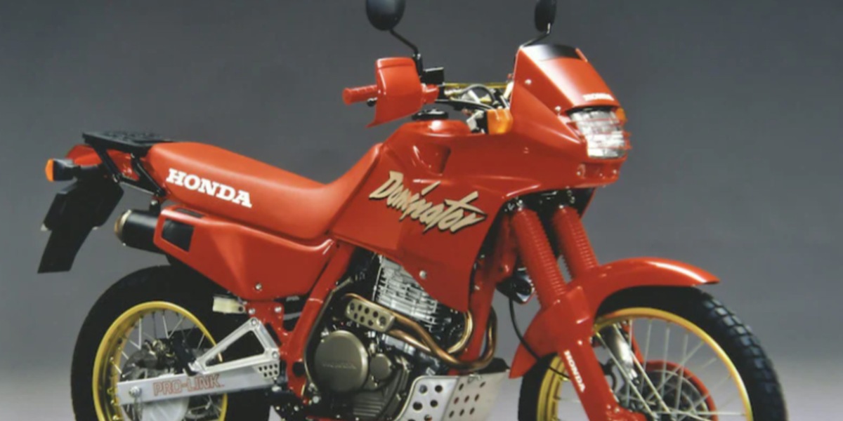 Honda Dominator: occhio, potrebbe tornare