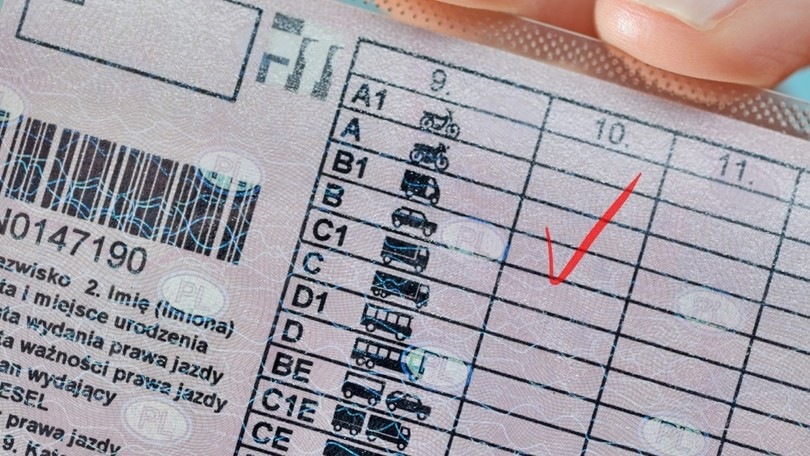 Esame della patente: quanti lo passerebbero nuovamente dopo 5 anni?