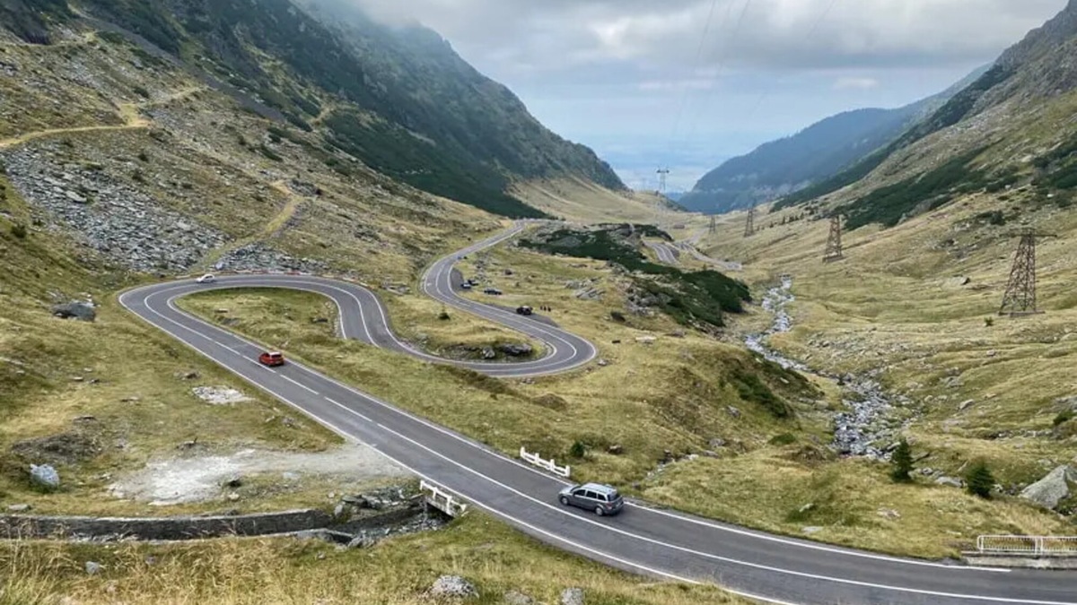 Motociclista ucciso da un orso: tragedia in montagna