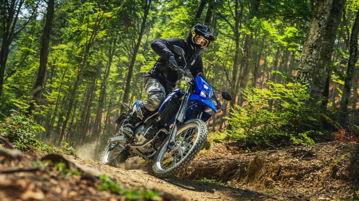 Yamaha WR125R 2026: le foto