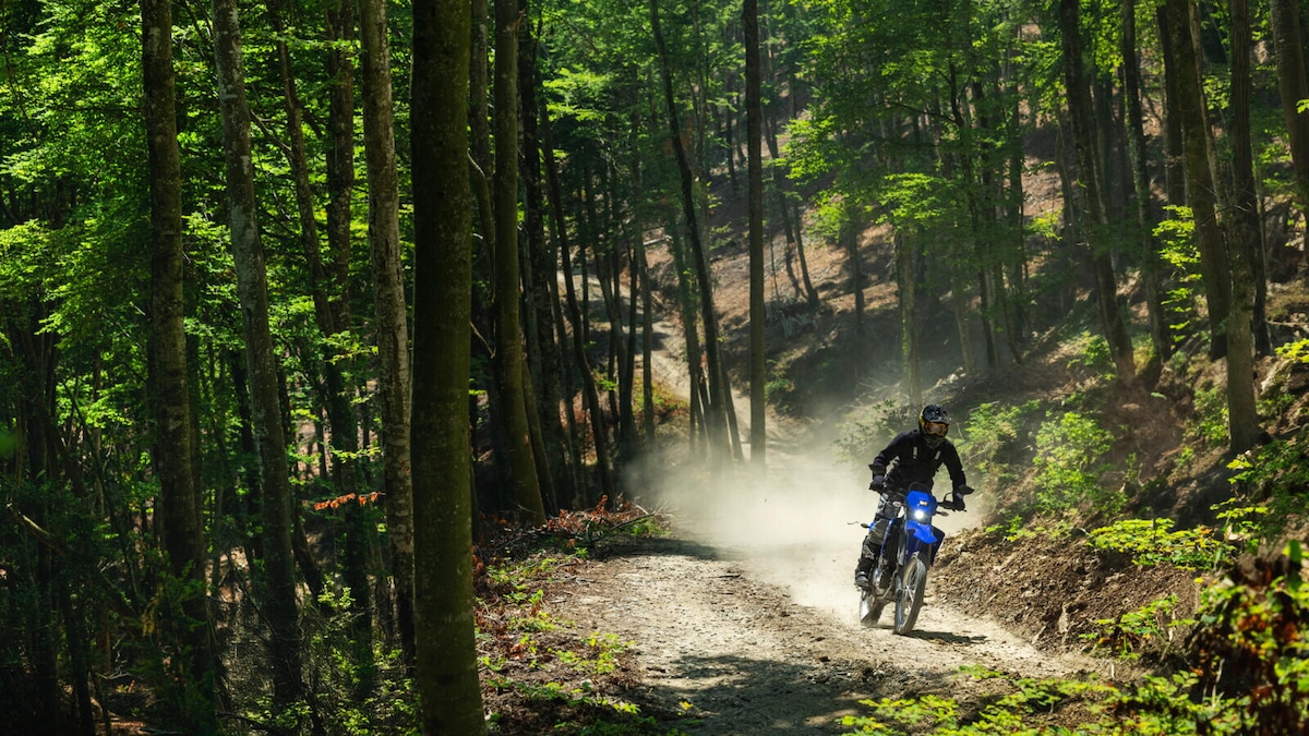 Yamaha WR125R 2026: le foto