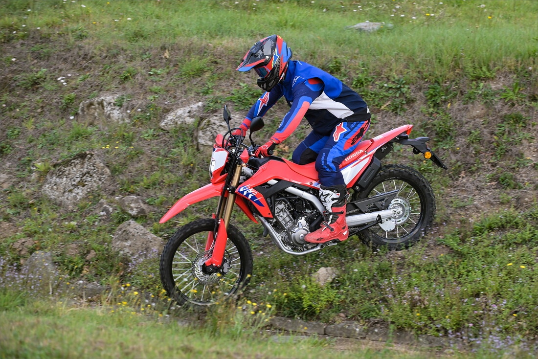 Honda CRF300L: le foto della comparativa dual