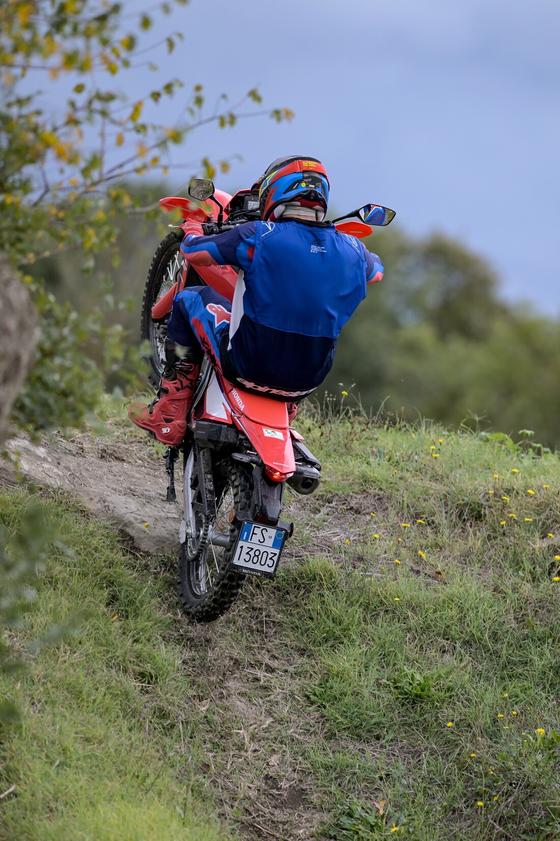 Honda CRF300L: le foto della comparativa dual