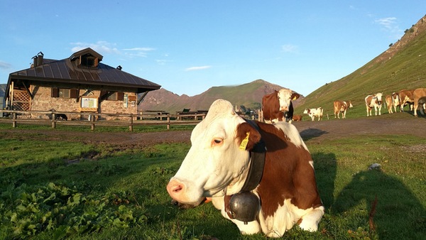 Tassullo, Castel Valer apre le porte per “Formai dal Mont”