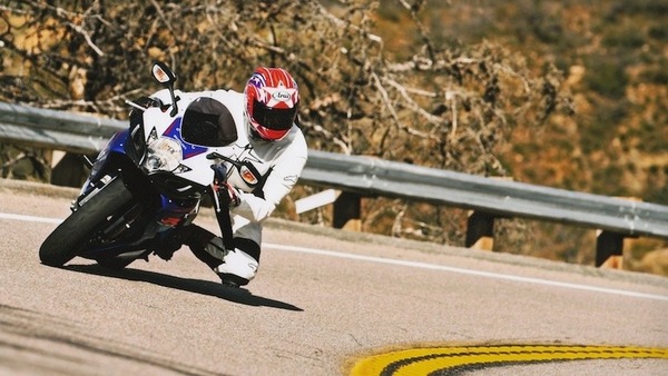 Cervo in autostrada: motociclista all’ospedale
