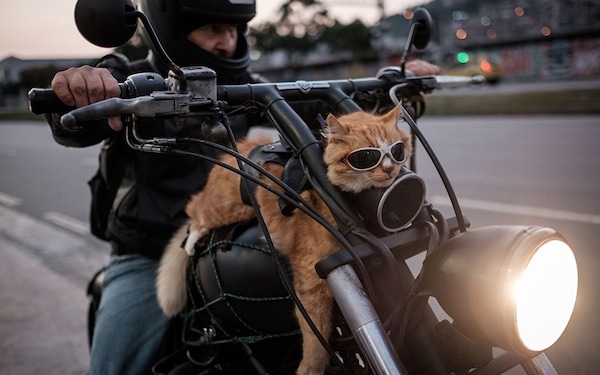 Andare in moto, aspettative Vs realtà: i meme raccontano