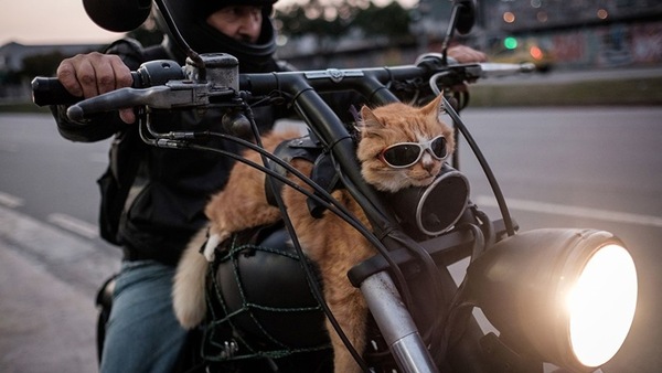 Andare in moto, aspettative Vs realtà: i meme raccontano