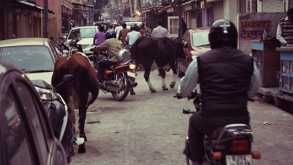 Guida in città: dove il più grosso ha sempre ragione