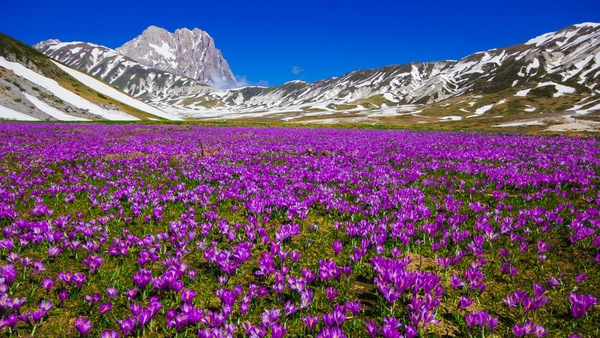 Tour in moto: dove andare nel mese di maggio da soli o in due