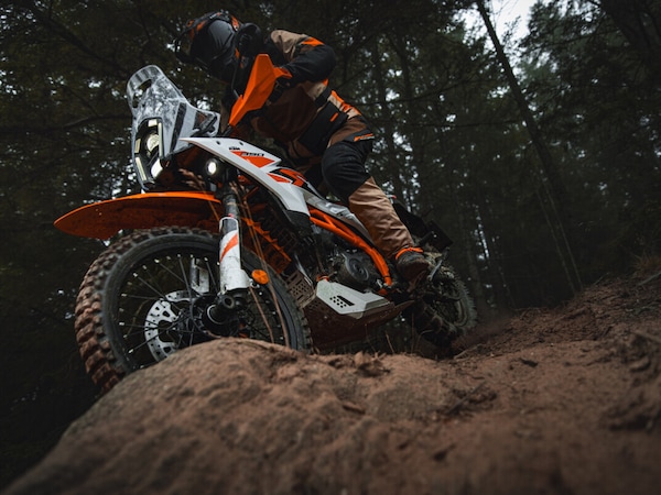 KTM 390 Adventure: le foto del 2025