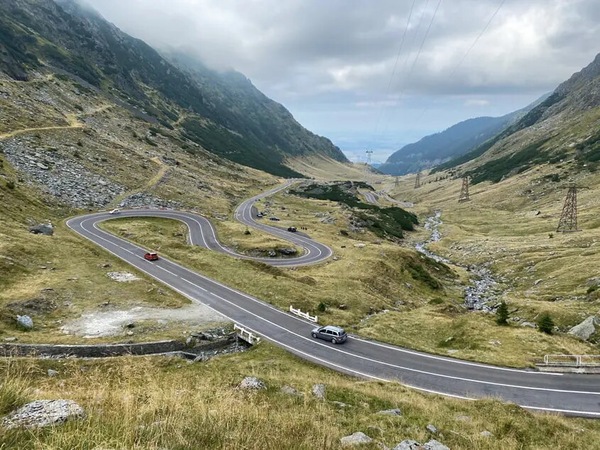 Motociclista ucciso da un orso: tragedia in montagna