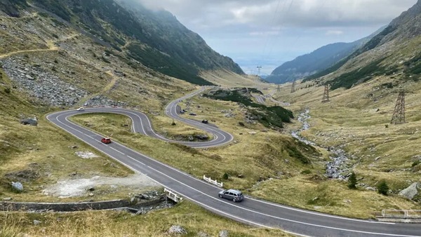 Motociclista ucciso da un orso: tragedia in montagna