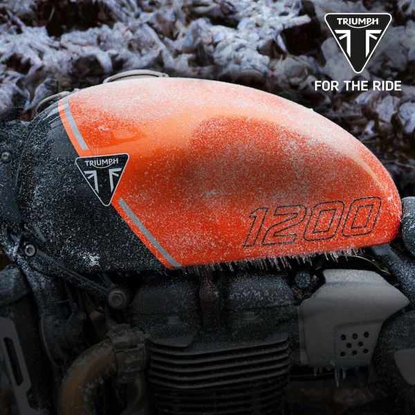 Triumph Easy winter: il programma per un "letargo" della moto sereno