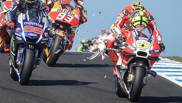 Quando la natura entra in pista: dal cobra nel GP della Malesia ai caprioli del Mugello