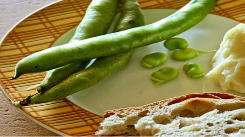 Torna la Sagra del Pecorino e del Salame Cotto a Nepi News InMoto.it